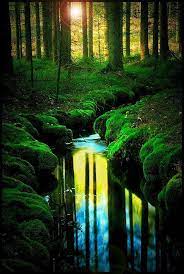teijo finland beautiful nature nature nature photography