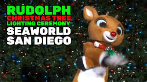 Check spelling or type a new query. Rudolph The Red Nosed Reindeer Christmas Tree Lighting Ceremony At Seaworld San Diego 2016 Youtube