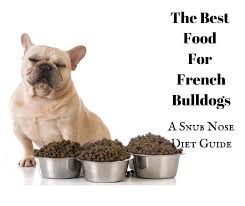 The good news is that you can always change their diet up, as needed. Pug Vs French Bulldog A Short Nose Dog Comparison Go Pup