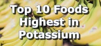 We did not find results for: Top 10 Foods Highest In Potassium