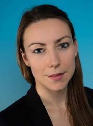 Which lever can enhance sustainability in emerging market countries? A  stochastic approach to better grasp public debt dynamics