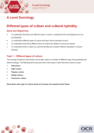Different Types Of Culture And Cultural Hybridity