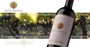 Ambos são intensoa, com aroma de ameixas, fundo mentolado e corpo médio, com notas de frutas maduras ou compotas. Tudo Sobre O Vinho Santa Helena Vem Da Uva