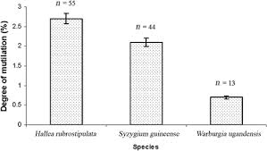 Image result for Sopubia ugandensis