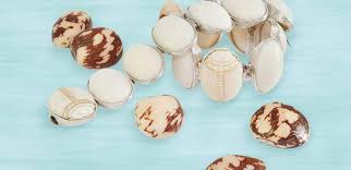 Knoblauchperlenarmband