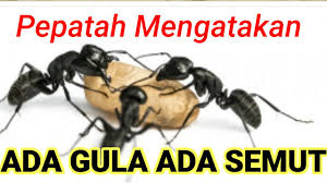Cikgu fizah akan berkongsi peribahasa melayu maksudnya dan contoh ayat sebagai rujukan murid/pelajar/guru dalam sesi pembelajaran bahasa melayu. Pepatah Mengatakan Ada Gula Ada Semut Youtube