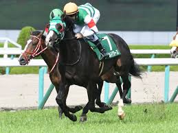 The race often serves as a trial race for the takarazuka kinen later in the month. é³´å°¾è¨˜å¿µ ãƒ¡ãƒ¼ãƒ«ãƒ‰ã‚°ãƒ©ãƒ¼ã‚¹ãŒçªãæŠœã'4é€£å‹ é‡è³ž2é€£å‹ Jraãƒ¬ãƒ¼ã‚¹çµæžœ ç«¶é¦¬ãƒ‹ãƒ¥ãƒ¼ã‚¹ Netkeiba Com