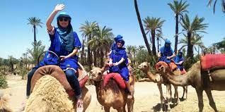 Enjoy a camel ride and quad bike tour to explore the desert landscape. Marrakech Camel Ride In The Oasis Palmeraie Getyourguide