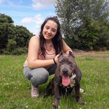 Find a xl bully in northern ireland on gumtree, the #1 site for dogs & puppies for sale classifieds ads in the uk. Phantom Bully Kennels Xl American Bully Breeder Ireland