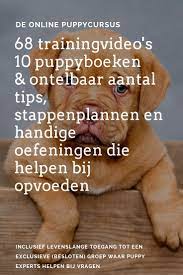 Pin Op Pupmans