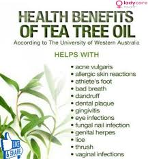 Health Benefits Of Tea Tree Oil Tea Tree Oil Benefits Tea Tree Oil Uses Oils