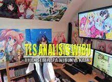 Beberapa orang mengutarakan istilah ini seperti ejekan, tapi ada juga yang bangga dipanggil sebagai anime wibu. Tes Wibu Archives Tondanoweb Com