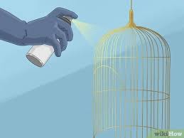 5% coupon applied at checkout save 5% with coupon. 3 Simple Ways To Decorate A Bird Cage Wikihow