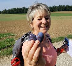 Führungen für Gruppen