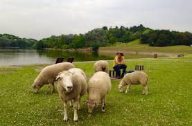 Allez zou, je vous explique. Nos Idees Sorties A La Ferme En Ile De France