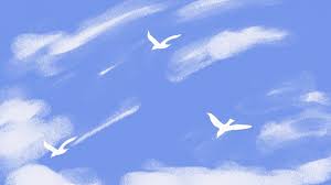 خلفية زرقاء السماء التوضيح حمامة تحلق خلفية الكرتون sky illustration sky background