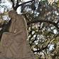 Savannah Ghost Tour: History and Hauntings