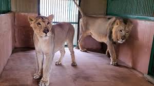 Sanjay Gandhi National Park ...