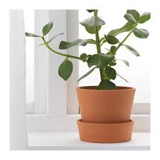 Ingefara Plant Pot With Saucer Outdoor Indoor Outdoor Terracotta 4 Ikea Ikea Plants Potted Plants Plants