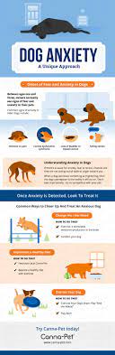 Dog Anxiety Natural Remedies A Complete Guide Canna Pet