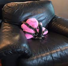 nsfw ditto : rpokemonmemes