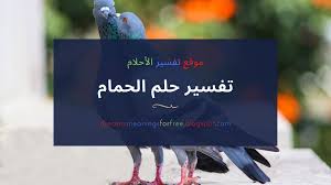 تفسير حلم حمامة بيضاء و سوداء وبيض الحمام في المنام. Ø§ÙØ­ÙØ§Ù ÙÙ Ø§ÙÙÙØ§Ù ØªÙØ³ÙØ± Ø­ÙÙ Ø§ÙØ­ÙØ§Ù Ù ÙØ´Ù Ø§ÙØ±ÙÙØ² Ø§ÙØªÙ ÙØ¹Ø¨Ø± Ø¹ÙÙØ§