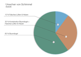 Sie benötigen feuchtigkeit und einen nährboden, um wachsen zu können. Schimmel In Der Wohnung Informationen Zu Ursachen Und Entstehung