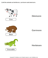 Omnivores are animals that eat both meat and vegetation. Herbivores Carnivores And Omnivores Animals Worksheet Turtle Diary