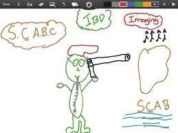 Inflammatory Bowel Disease Flashcards Quizlet