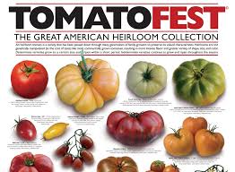 Image result for Yellow 1964 Amana