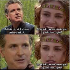 Pallets of bricks have arrived arrivedinL.A. in L.A. To rebuild homes  destroyed by wildfires, right? Torebuild homes destroyed by wildfires,  right?