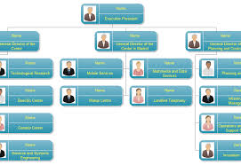 Organizational Chart Hamidreza Talebi
