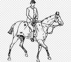 Klick das bild springendes pferd mit reiter an, um die druckversion zu sehen, oder um es online anzumalen (kompatibel mit ipad und android tablets). Pferdesport Reiter Pferd Tier Tierfigur Tiere Png Pngwing