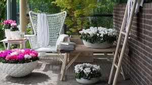 Noch bevor der kalender den herbstanfang verkündet, beginnt auf dem balkon das schaulaufen der schönsten herbstblüher. Pflanzen Die Besten Balkonpflanzen Fur Den Herbst Welt