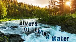 Image result for Rivers of Living Water scripture