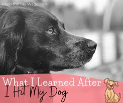 Dog aggression stems from the dog's frustration and dominance. What I Learned After I Hit My Dog Keep The Tail Wagging