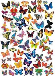 Sie hatte manchmal mühe, sich in der fremden sprache auszudrücken. Bunte Schmetterlingsmotive Ausdrucken Bunte Schmetterling Sticker Von Fahrradaufkleber Shop