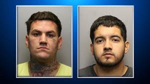 Larimer County drug trafficking ring busted, 5 arrested