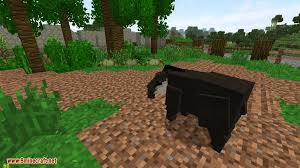 19 mod optifine mod for 1.17.x (zoom / shaders / fps boost.) checkm1te. Zoocraft Discoveries Mod 1 12 2 1 7 10 Zoocrafting Series 9minecraft Net