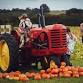 The Pumpkin Patch Milton Keynes event image