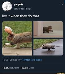 Wholesome Memes To Start The Week Off Right Cute Animals Cute Baby Animals Funny Animals