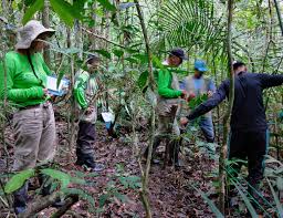 CONOZCA LOS GUARDIANES DE LOS BOSQUES AMAZÓNICOS – Visión Amazonía