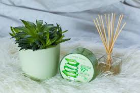 Lidah buaya juga dapat mengurangi peradangan pada jaringan yang terluka. 5 Merek Aloe Vera Gel Serbaguna Yang Gak Bikin Kantong Kempes