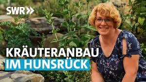 Debat plus tv dukagjini live. Die Krauter Kennerin 3 6 Mein Leckerer Garten Youtube