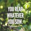 You reap what you sow. 3