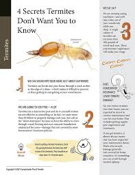 We offer a variety of services to protect your home from pest. Pest Control Tucson Az Conquistador Pest Termite Call 520 624 5901