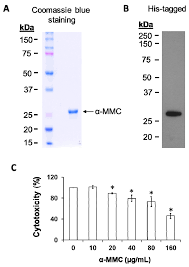 Instantly preview optioriginal script with your own text. Toxins Free Full Text Ribosome Inactivating Protein A Momorcharin Derived From Edible Plant Momordica Charantia Induces Inflammatory Responses By Activating The Nf Kappab And Jnk Pathways Html