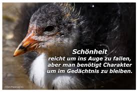 Schönheit Reicht Um Ins Auge Zu Fallen Aber Man Benötigt