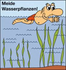 Auf der seite der deutschen lebensrettungsgesellschaft (dlrg) gibt es die allgemeinen baderegeln u.a. Die Baderegeln Fur Richtiges Verhalten Am Und Im Wasser Wasserwacht Thungersheim