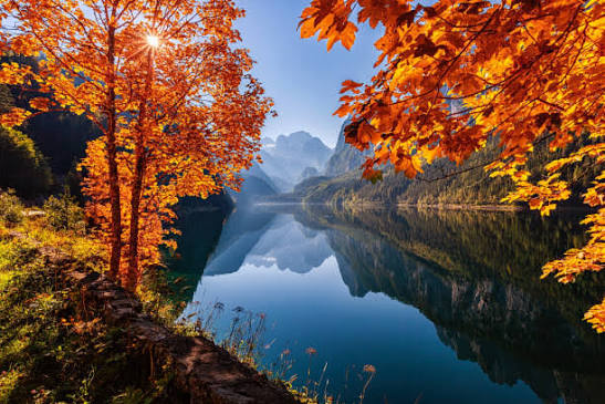 2,924,300+ Fall Landscape Stock Photos, Pictures & Royalty-Free Images -  iStock